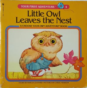 Cover of the book "Your First Adventure: Little Owl Leaves the Nest"