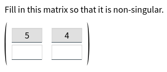 A 2×2 matrix input with the first row filled in with 5, 4, and non-editable.